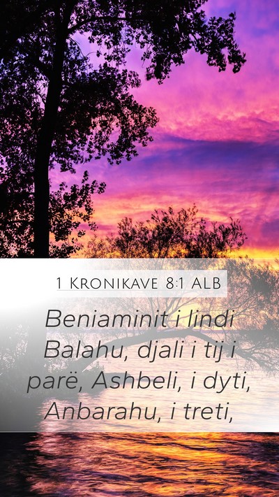 1 Kronikave 8:1 ALB Bible Verse Image