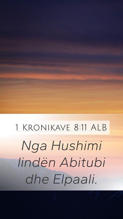 1 Kronikave 8:11 ALB Mobile Phone Wallpaper - Nga Hushimi lindën Abitubi dhe - Mobile Bible Verse Wallpaper