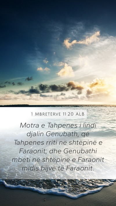 1 Mbretërve 11:20 ALB Mobile Phone Wallpaper - Motra e Tahpenes i lindi djalin Genubath, që - Mobile Bible Verse Wallpaper