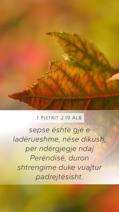 1 Pjetrit 2:19 ALB Bible Verse Image