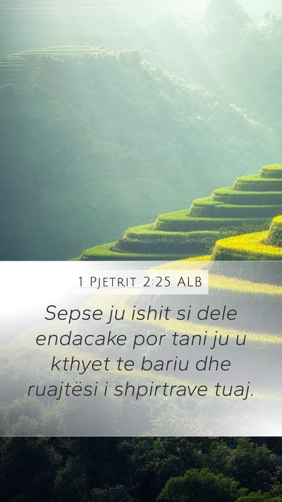 1 Pjetrit 2:25 ALB Bible Verse Image