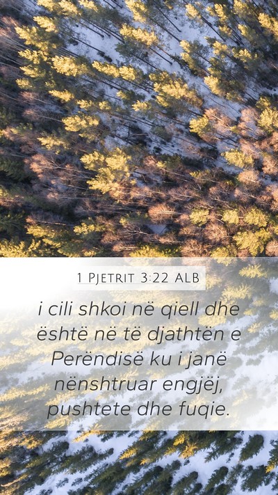1 Pjetrit 3:22 ALB Bible Verse Image