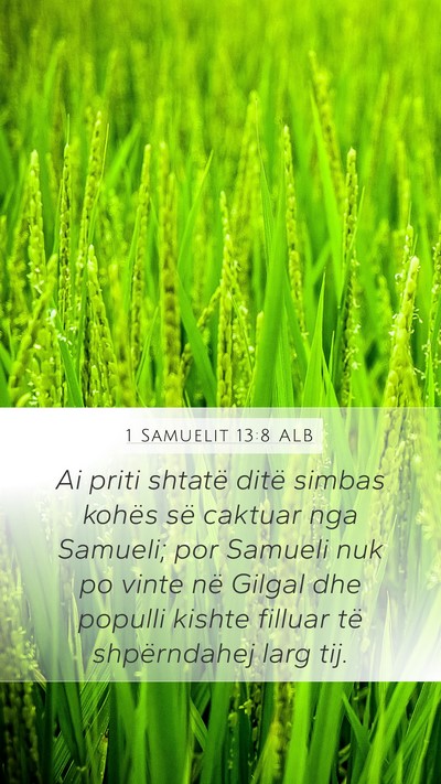 1 Samuelit 13:8 ALB Bible Verse Image