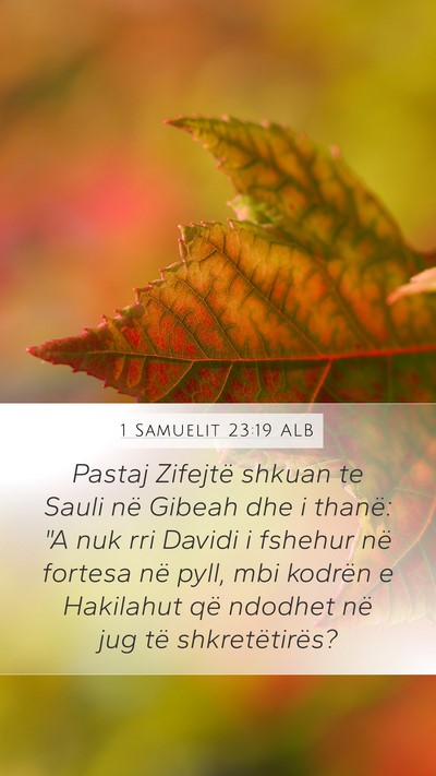 1 Samuelit 23:19 ALB Bible Verse Image