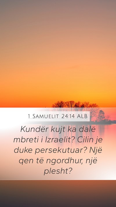 1 Samuelit 24:14 ALB Bible Verse Image
