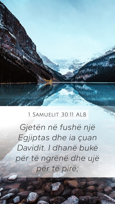 1 Samuelit 30:11 ALB Bible Verse Image
