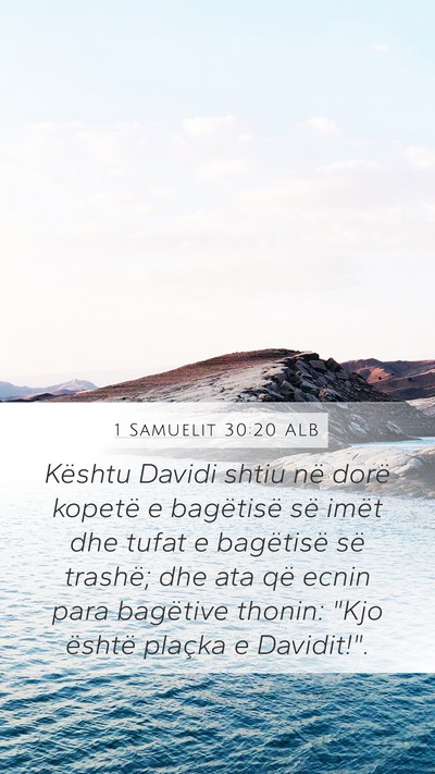 1 Samuelit 30:20 ALB Bible Verse Image