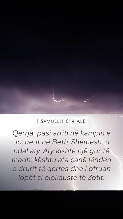 1 Samuelit 6:14 ALB Bible Verse Image