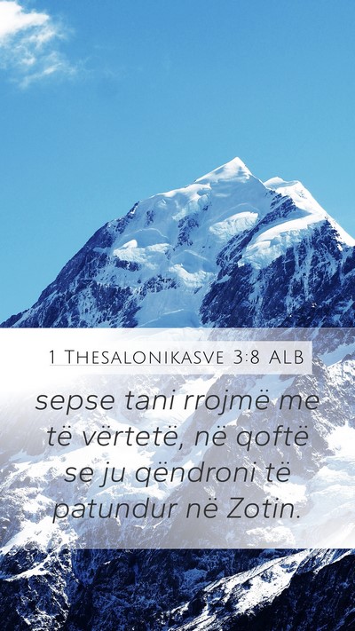 1 Thesalonikasve 3:8 ALB Bible Verse Image