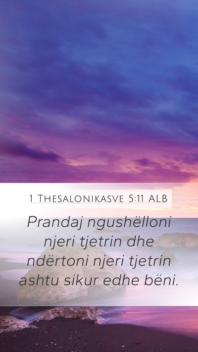 1 Thesalonikasve 5:11 ALB Bible Verse Image