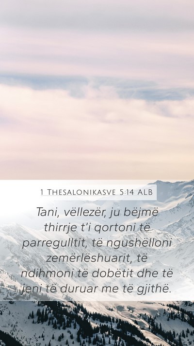 1 Thesalonikasve 5:14 ALB Bible Verse Image