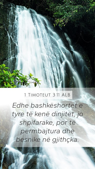 1 Timoteut 3:11 ALB Bible Verse Image