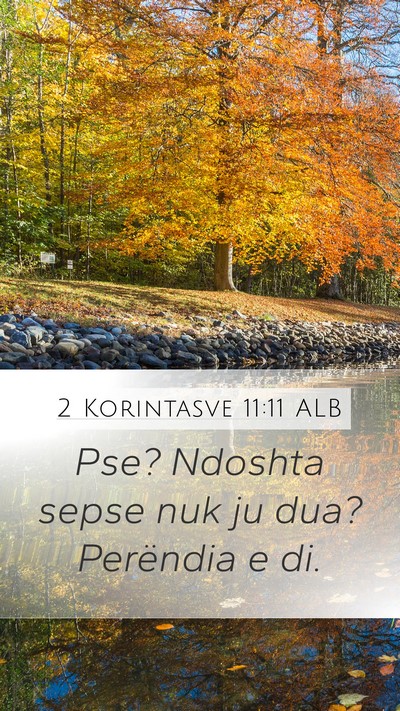 2 Korintasve 11:11 ALB Bible Verse Image