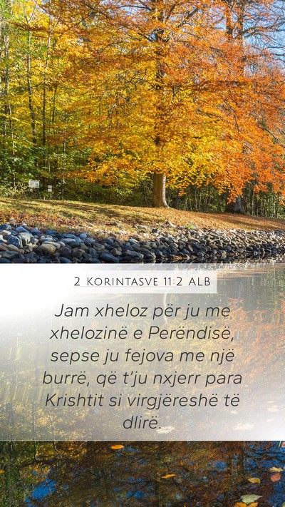 2 Korintasve 11:2 ALB Bible Verse Image