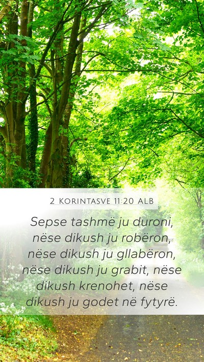 2 Korintasve 11:20 ALB Bible Verse Image
