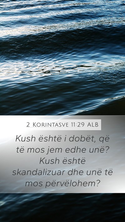 2 Korintasve 11:29 ALB Bible Verse Image