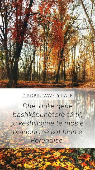 2 Korintasve 6:1 ALB Bible Verse Image