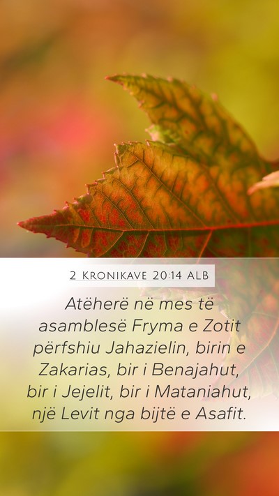 2 Kronikave 20:14 ALB Bible Verse Image