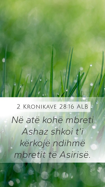 2 Kronikave 28:16 ALB Bible Verse Image