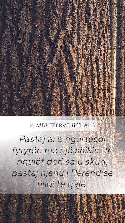 2 Mbretërve 8:11 ALB Mobile Phone Wallpaper - Pastaj ai e ngurtësoi fytyrën me një shikim - Mobile Bible Verse Wallpaper
