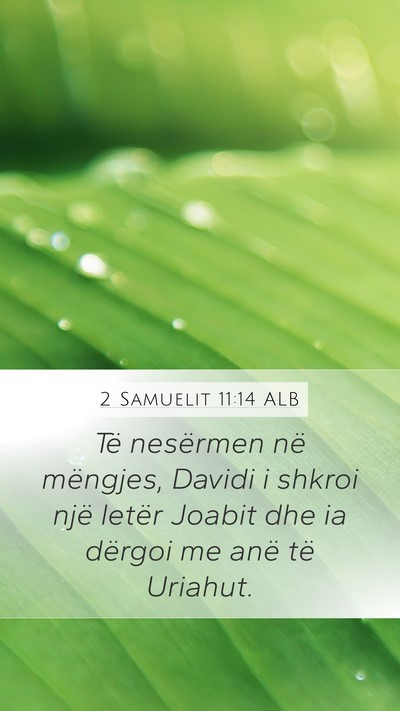 2 Samuelit 11:14 ALB Bible Verse Image