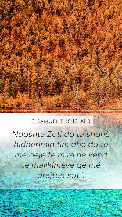 2 Samuelit 16:12 ALB Bible Verse Image