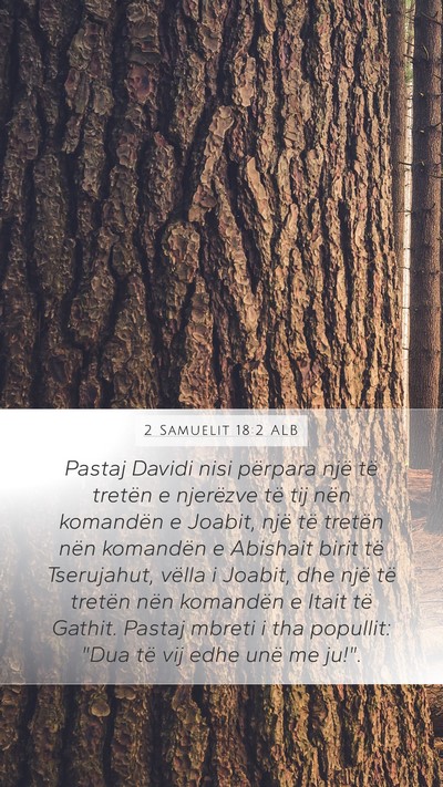 2 Samuelit 18:2 ALB Bible Verse Image