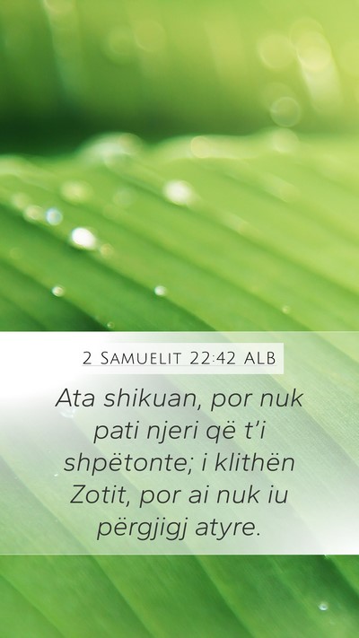 2 Samuelit 22:42 ALB Bible Verse Image