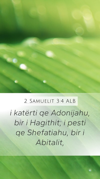 2 Samuelit 3:4 ALB Bible Verse Image