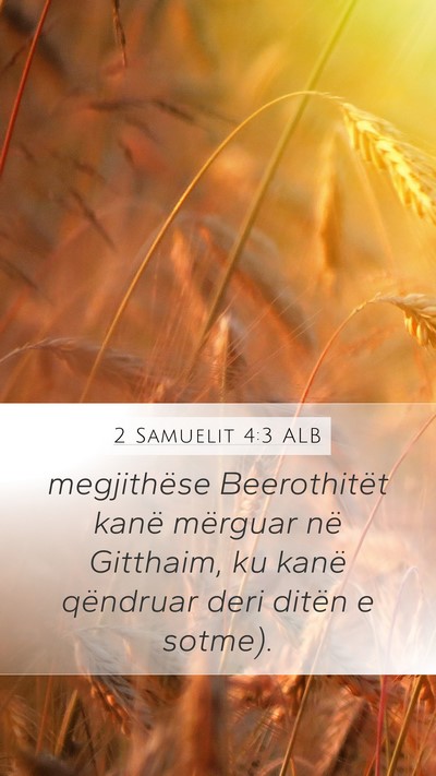 2 Samuelit 4:3 ALB Bible Verse Image
