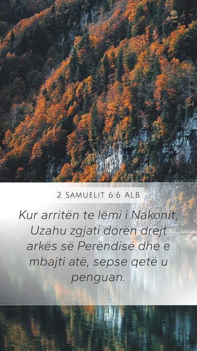 2 Samuelit 6:6 ALB Bible Verse Image