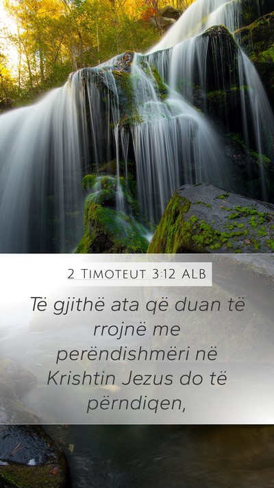 2 Timoteut 3:12 ALB Bible Verse Image