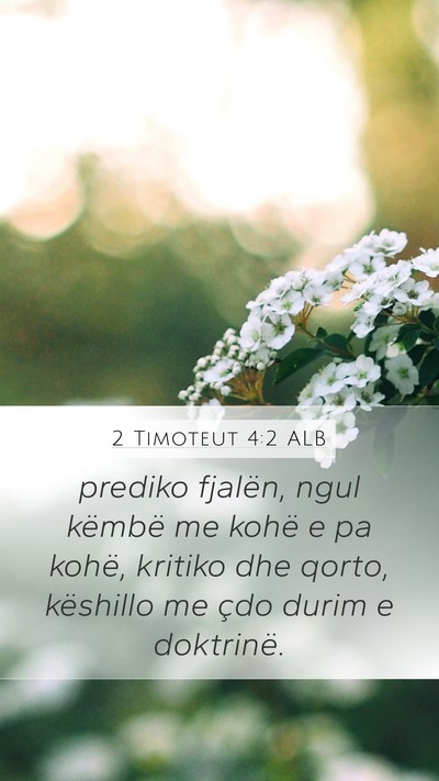2 Timoteut 4:2 ALB Bible Verse Image