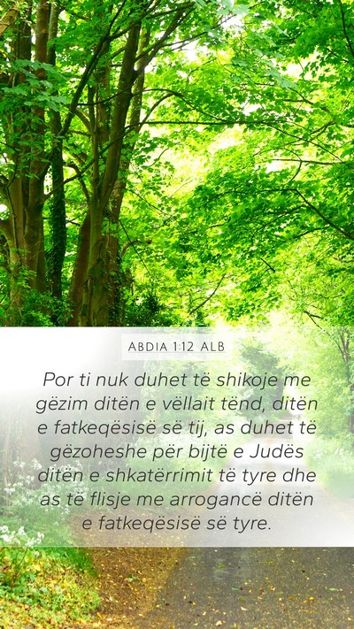 Abdia 1:12 ALB Bible Verse Image