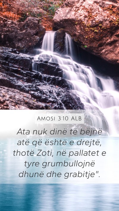 Amosi 3:10 ALB Bible Verse Image