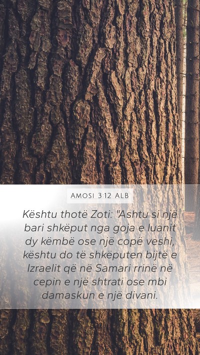 Amosi 3:12 ALB Bible Verse Image