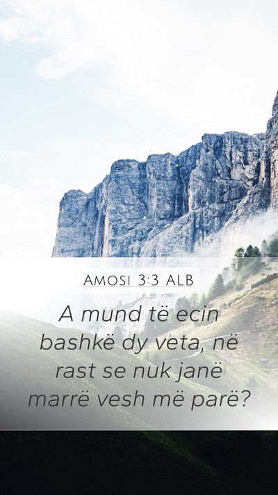 Amosi 3:3 ALB Bible Verse Image