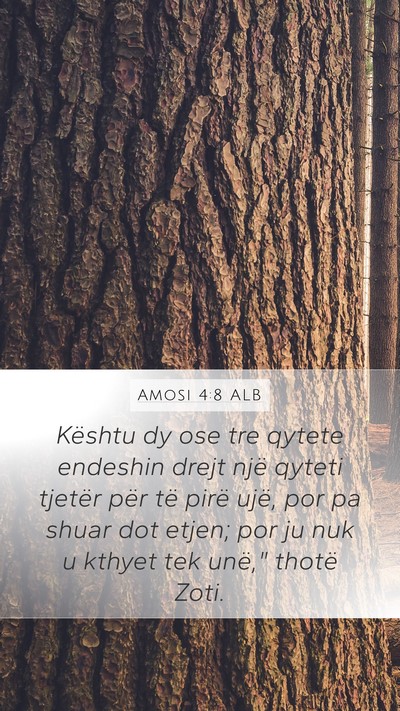 Amosi 4:8 ALB Bible Verse Image