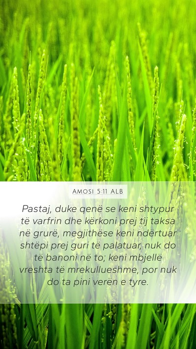 Amosi 5:11 ALB Bible Verse Image