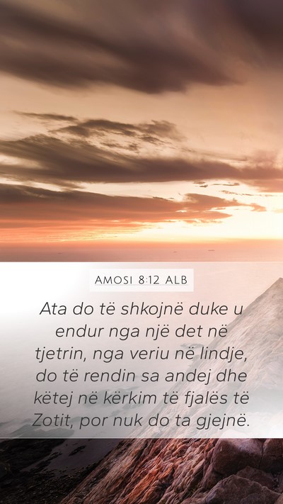 Amosi 8:12 ALB Bible Verse Image