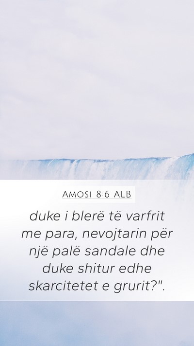 Amosi 8:6 ALB Bible Verse Image