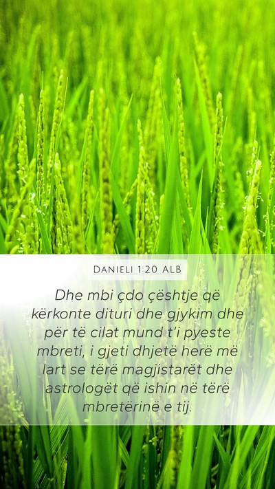 Danieli 1:20 ALB Bible Verse Image