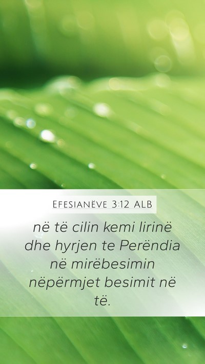 Efesianëve 3:12 ALB Bible Verse Image