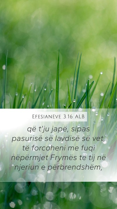 Efesianëve 3:16 ALB Bible Verse Image