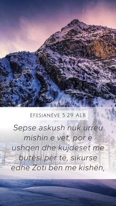 Efesianëve 5:29 ALB Mobile Phone Wallpaper - Sepse askush nuk urreu mishin e vet, por e ushqen - Mobile Bible Verse Wallpaper