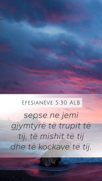 Efesianëve 5:30 ALB Bible Verse Image