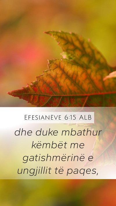 Efesianëve 6:15 ALB Mobile Phone Wallpaper - dhe duke mbathur këmbët me gatishmërinë e - Mobile Bible Verse Wallpaper