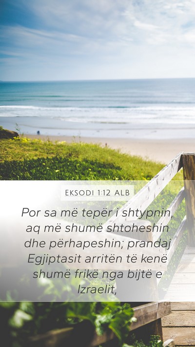 Eksodi 1:12 ALB Bible Verse Image