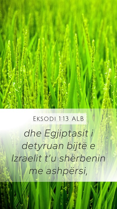 Eksodi 1:13 ALB Bible Verse Image