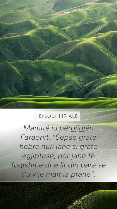 Eksodi 1:19 ALB Bible Verse Image
